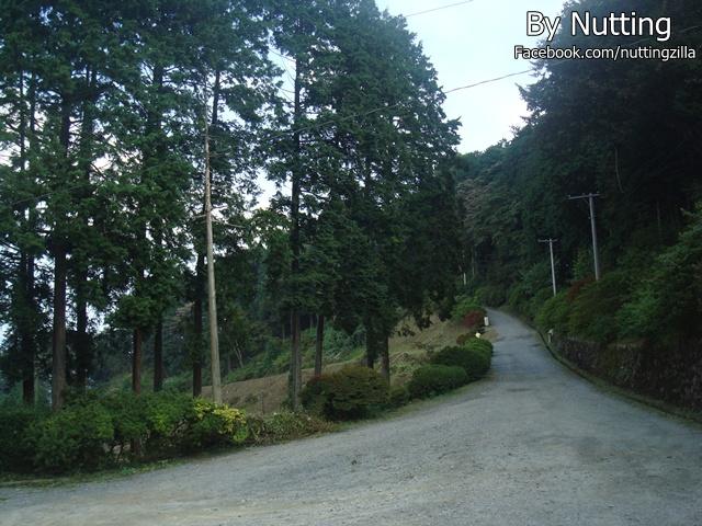 DSC03960.JPG